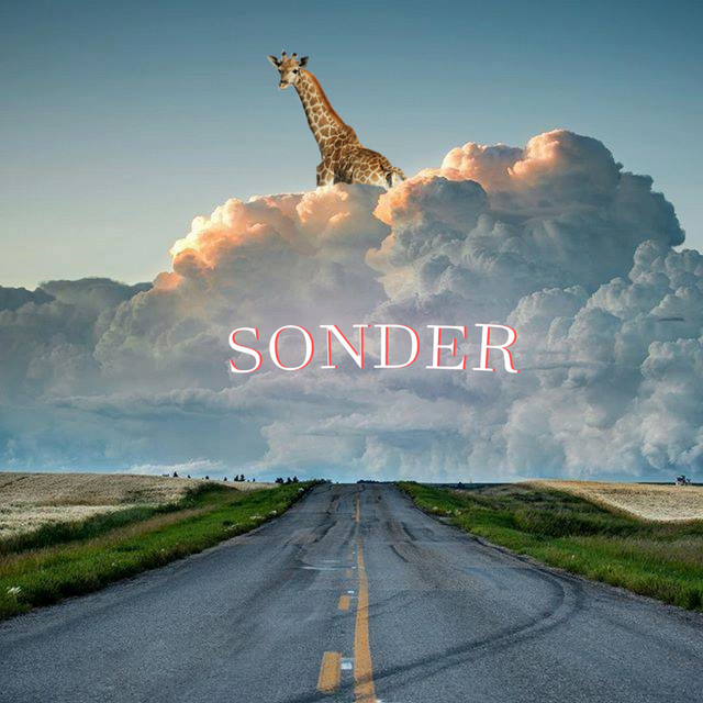 Sonder cover art