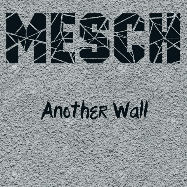 Обкладинка: Another Wall — Mesch