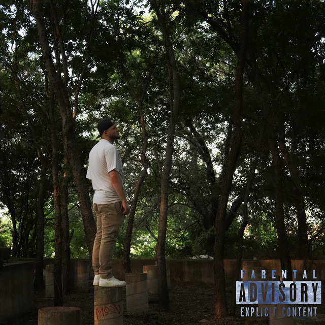 Mood cover art