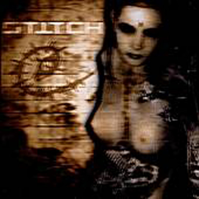Stitch cover art