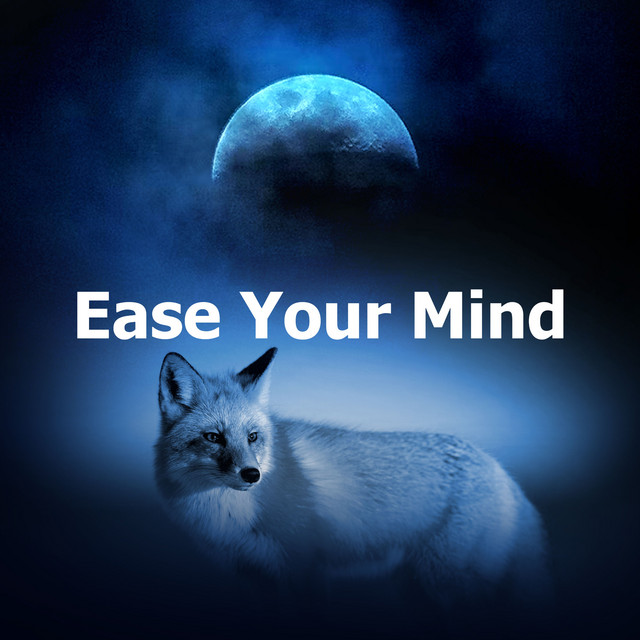 Ease Your Mind cover art