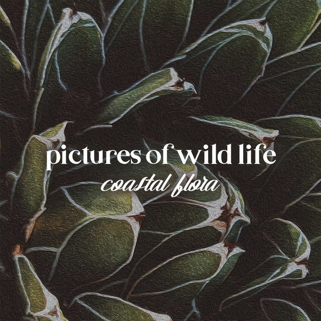 Coastal Flora (single)
