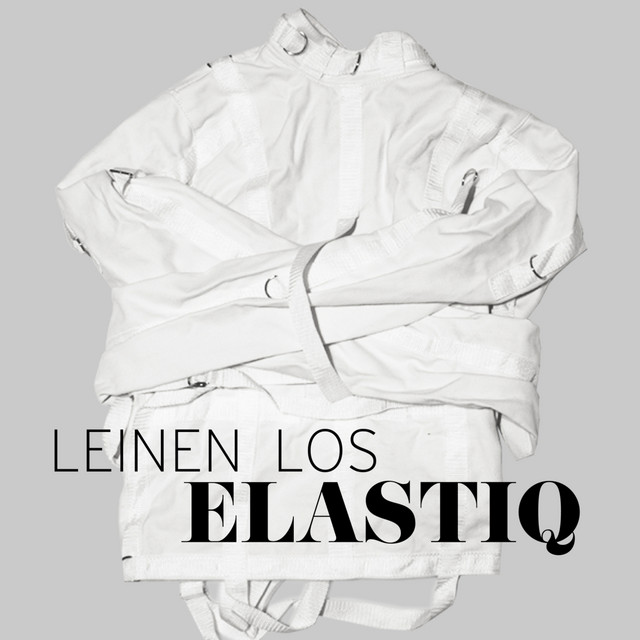 Leinen los cover art