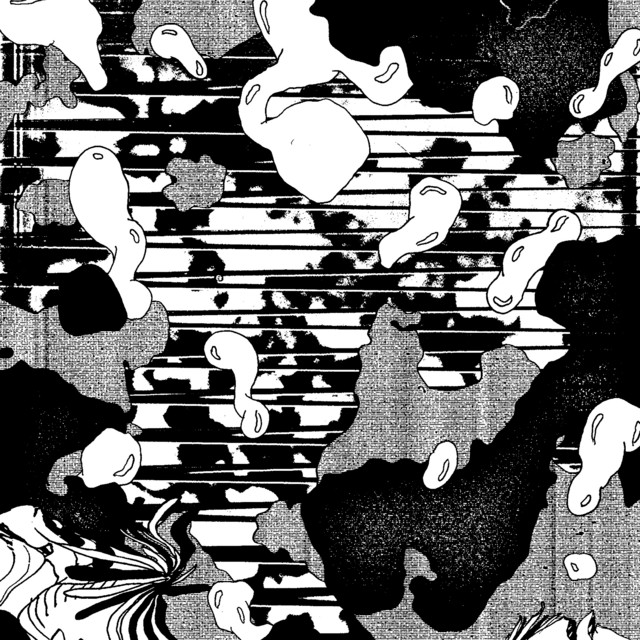 Sine Language album art