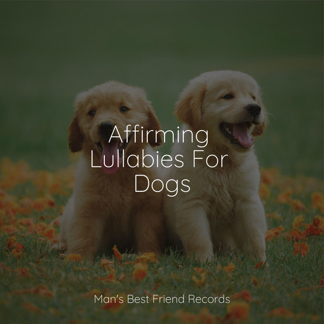 #Chillout a Night Sleep For Dogs - Album by Calm Doggy | Spotify
