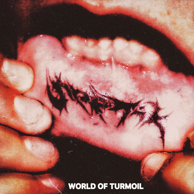 WORLD OF TURMOIL cover