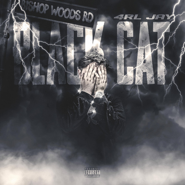 Black Cat cover art