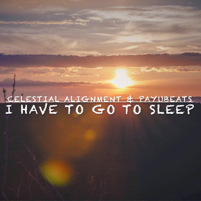 I Have to Go to Sleep