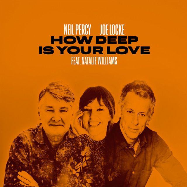 How Deep Is Your Love cover