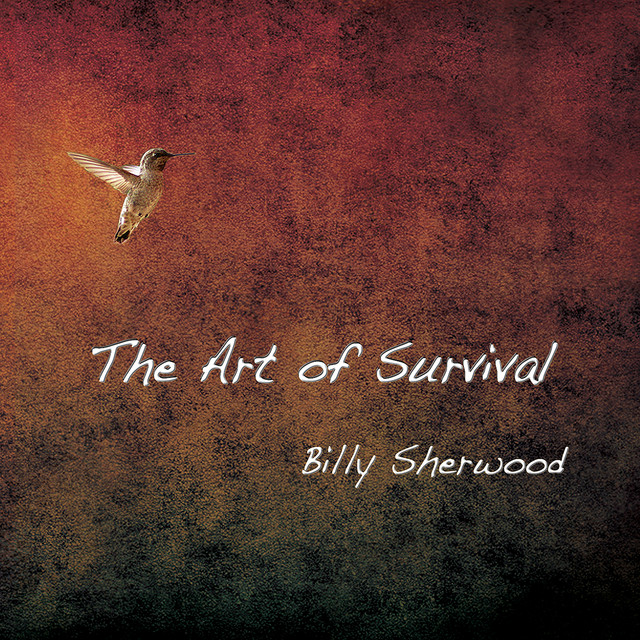 The Art of Survival cover art
