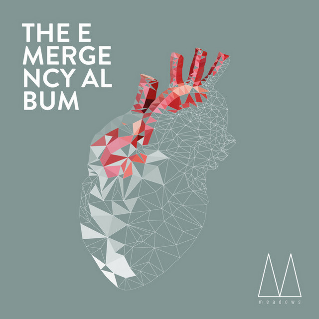 The Emergency Album cover art