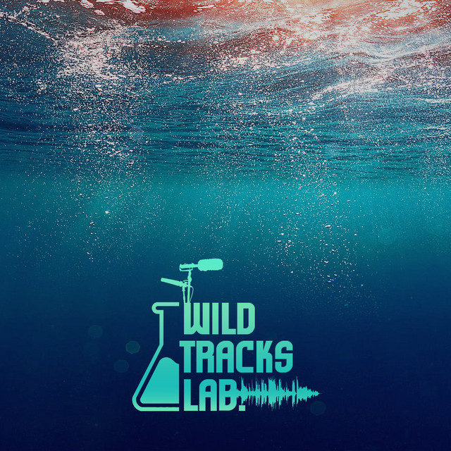 Subacqua Background Sounds cover art