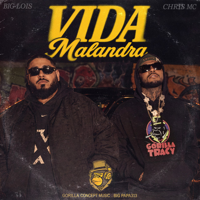 Vida Malandra album image