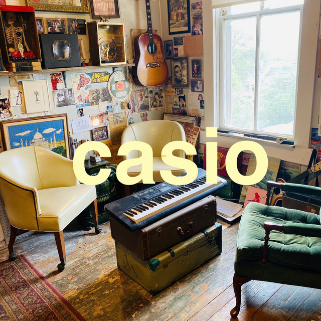 Casio cover art