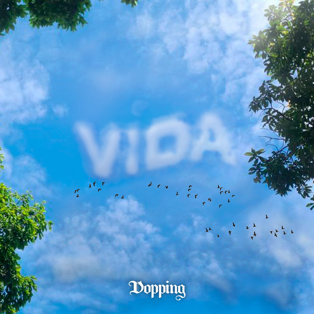 VIDA