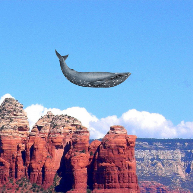 Electronic Whale cover art