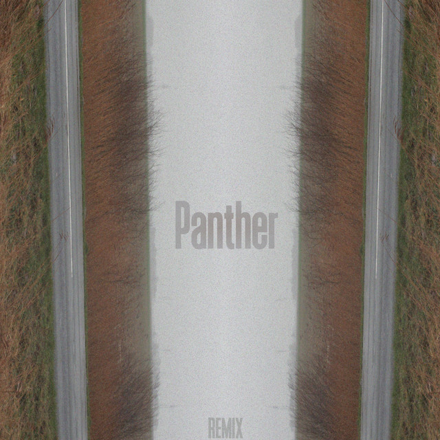 Panther (Remix) cover
