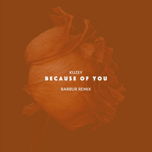 Because of You - Barbur Remix album art