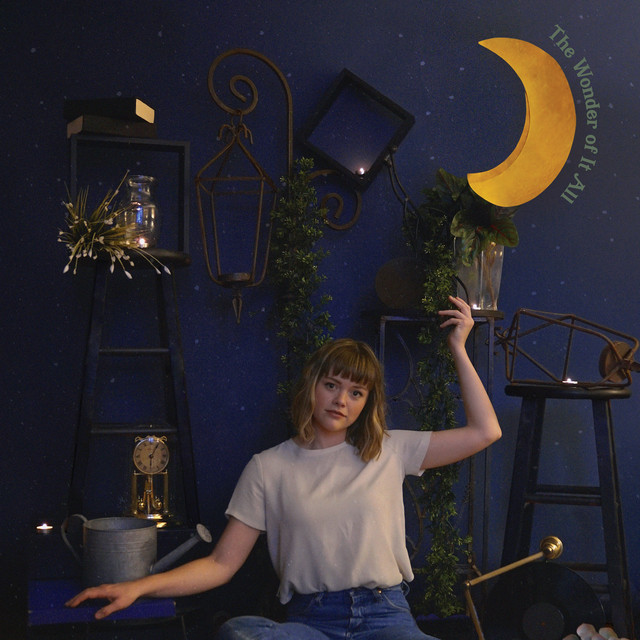 The Wonder of It All cover