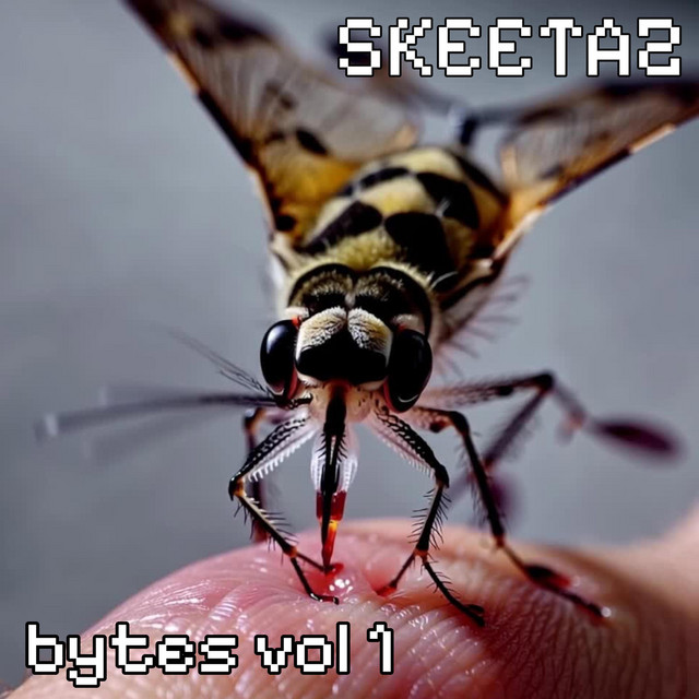 ma skeetaz bytes vol 1 cover art