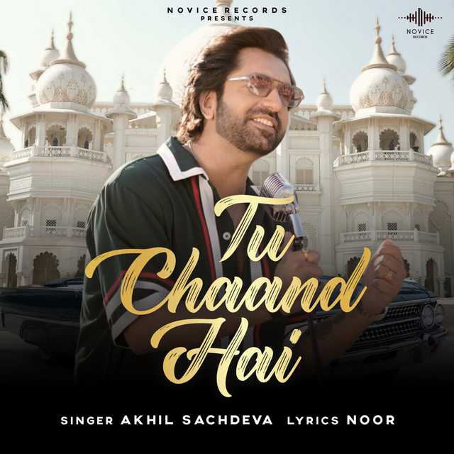 Tu Chaand Hai cover art