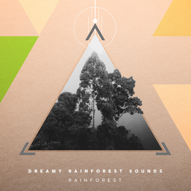 Dreamy Rainforest Sounds - Album by Rainforest | Spotify
