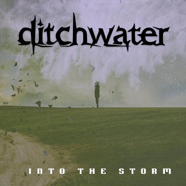 Into the Storm (Remastered) cover art
