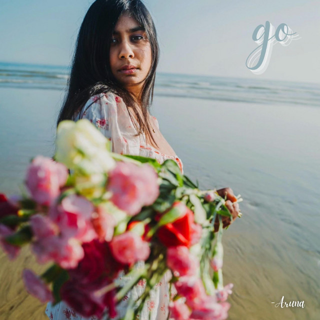 Go cover art