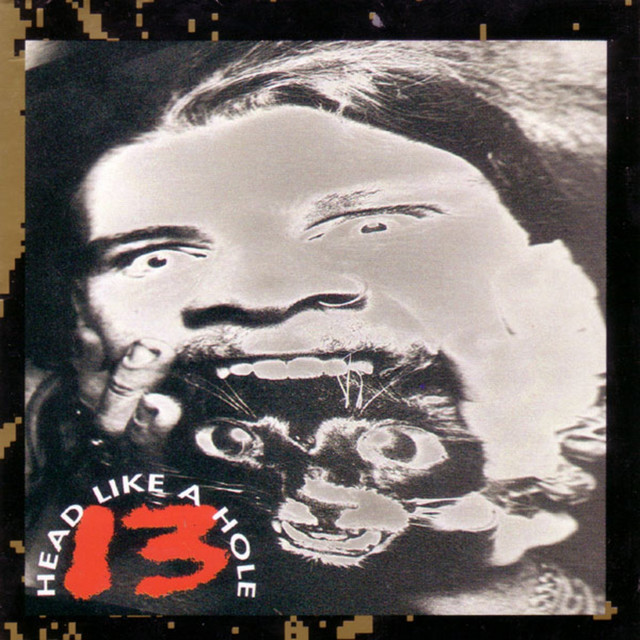 13 by Head Like A Hole