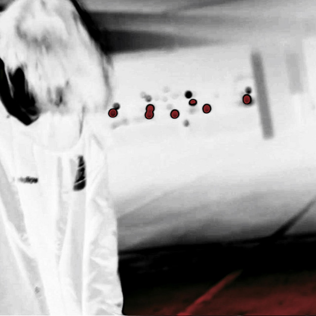Problems cover art