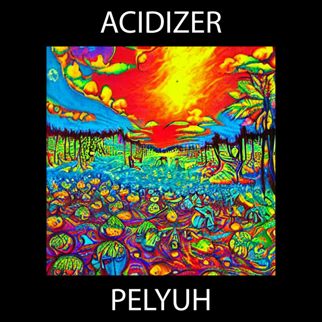 Обкладинка: Acidizer — PELYUH