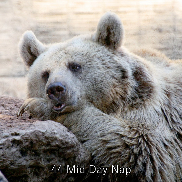 44 Mid Day Nap - Album by Sound Sleeping | Spotify