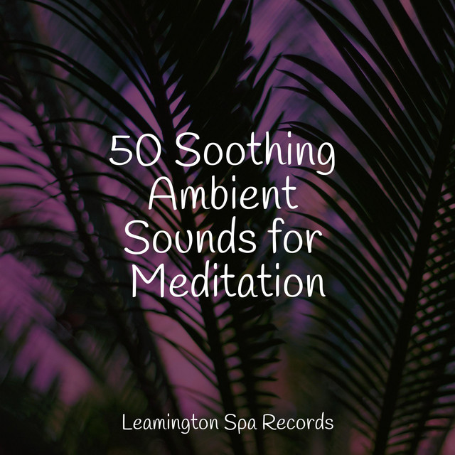 50 Soothing Ambient Sounds for Meditation - Album by Nature Sounds ...