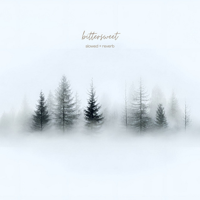 Обкладинка: bittersweet (slowed + reverb) — Olexandr Ignatov