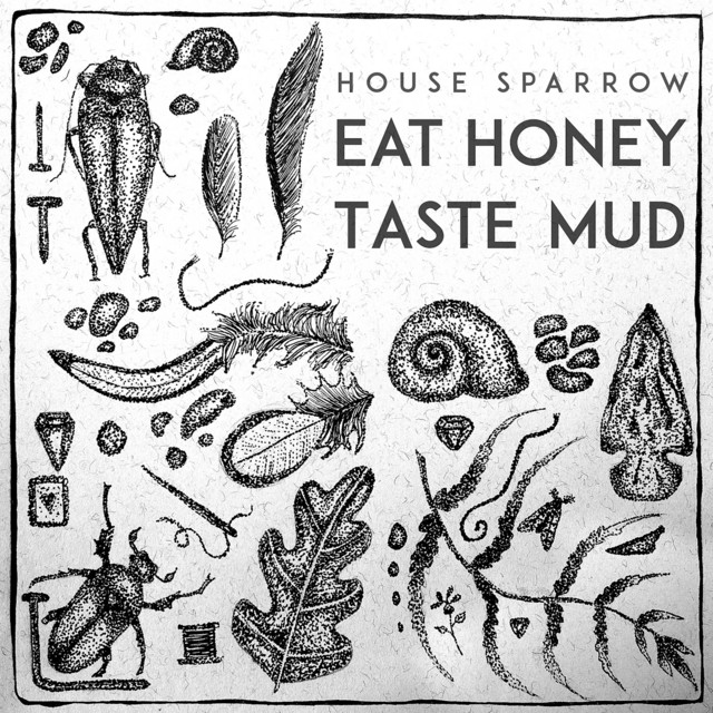 Eat Honey, Taste Mud cover