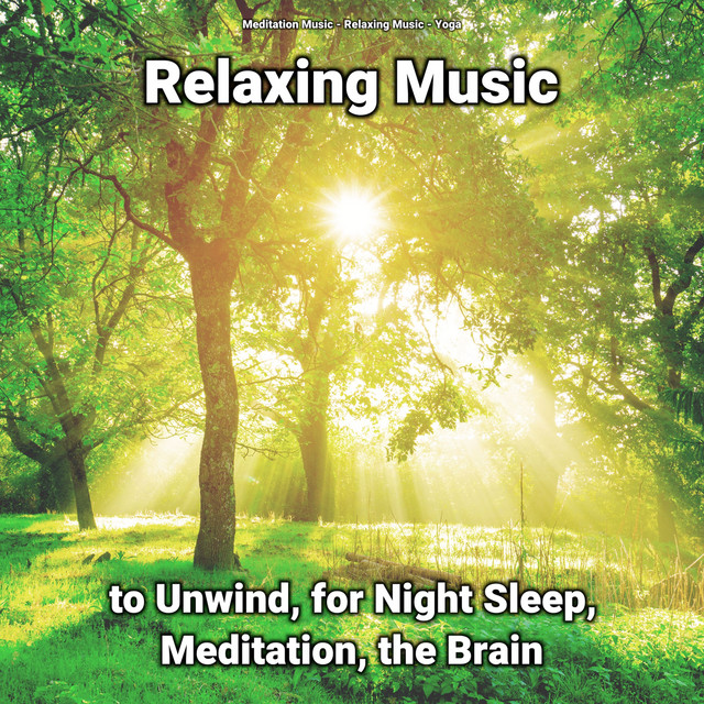 Relaxing Music to Unwind, for Night Sleep, Meditation, the Brain cover art