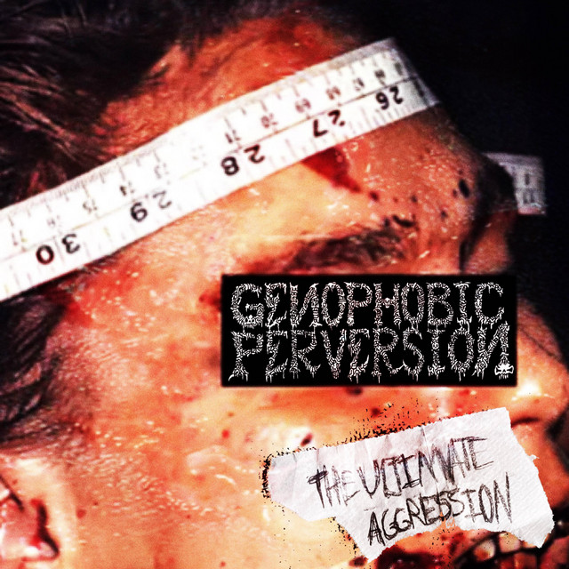 The Ultimate Aggression cover art