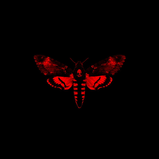 No Worries - Album Version (Edited)