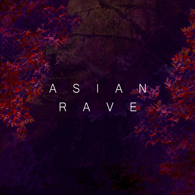 Asian Rave - Single by Andy Nils | Spotify