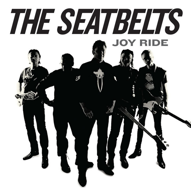 Joy Ride - Album by The Seatbelts | Spotify