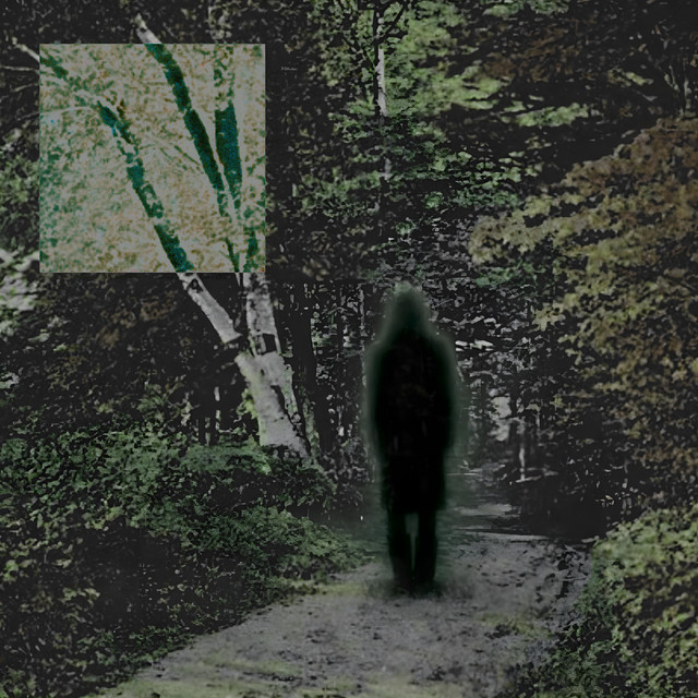 all roads lead to roaming... cover art