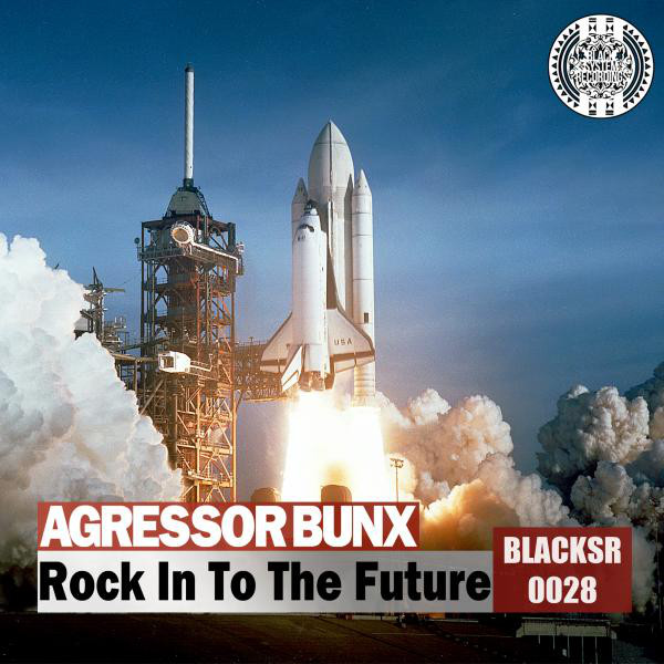 Rock In To The Future cover art