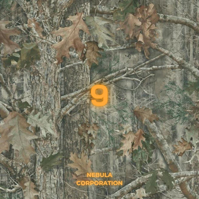 9 cover art