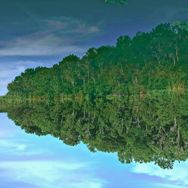 In Reflection cover art