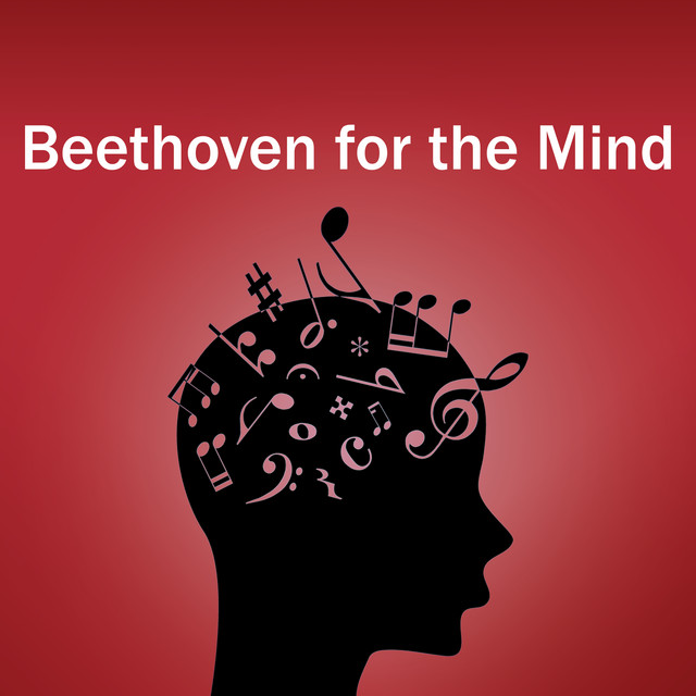 Romance Cantabile for Piano, Flute and Bassoon accompanied by Two Oboes and Strings in E Minor, Hess 13