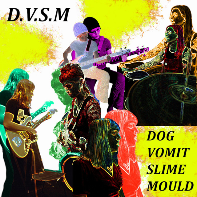 D.V.S.M