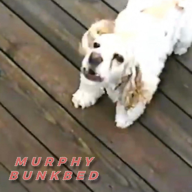 Murphy Bunkbed cover art