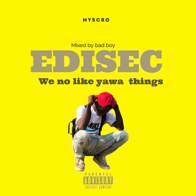 Edisec we no like yawa things cover