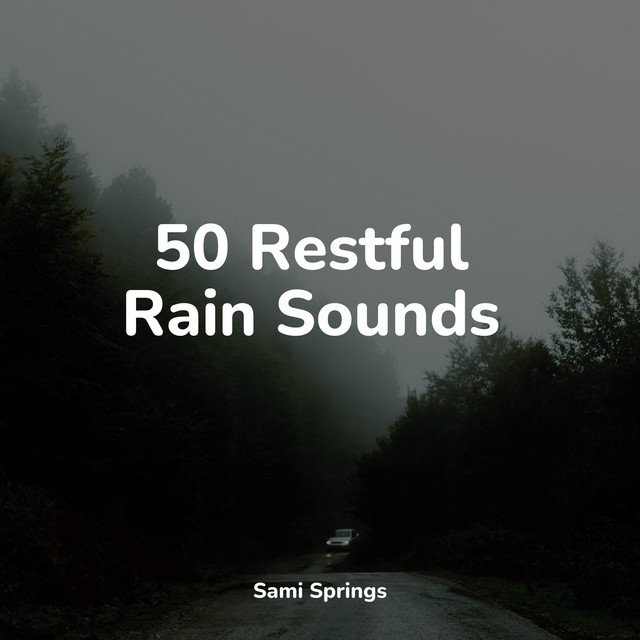50 Restful Rain Sounds - Album by Nature Recordings | Spotify