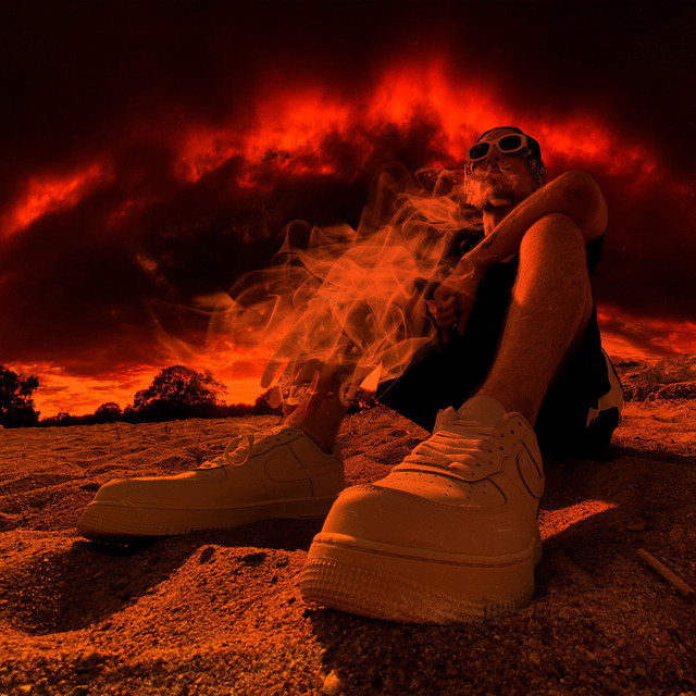 Waf cover art